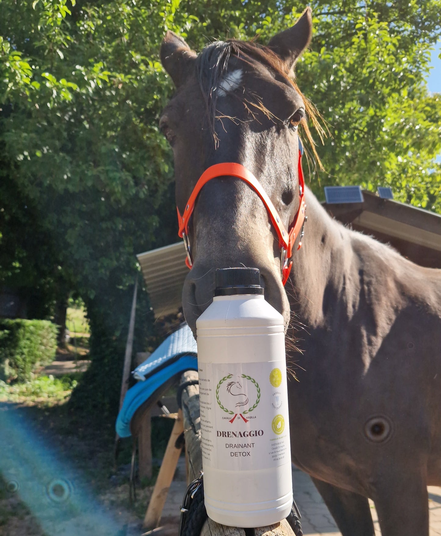 Drenaggio - Drainant & détox