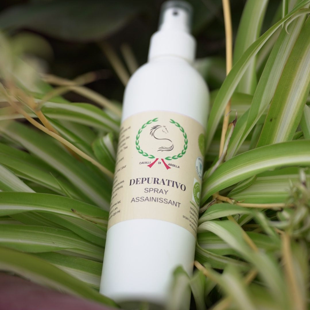 🌿 Depurativo – Spray Assainissant 🐴
