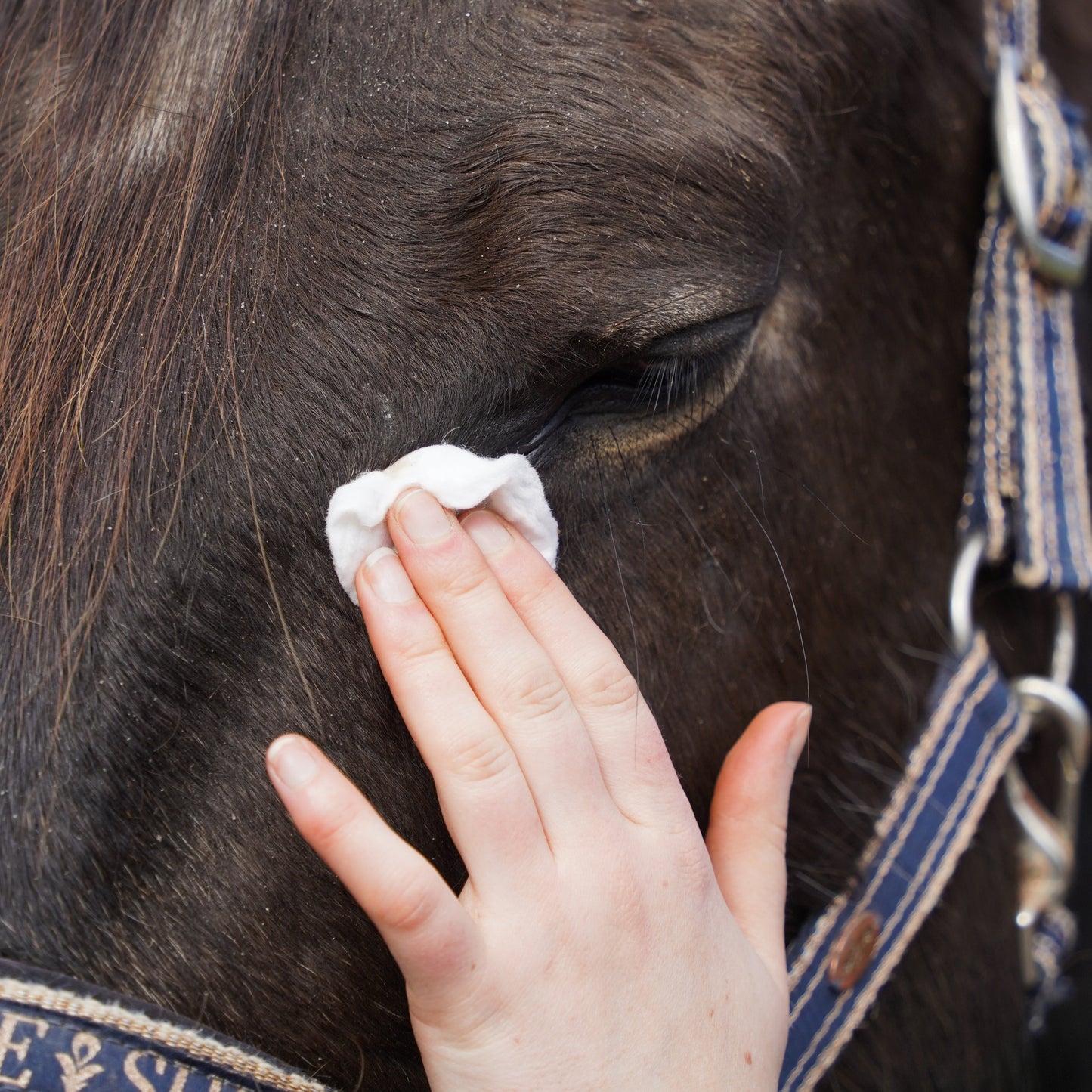 Eyes'EOL - Lotion pour nettoyer en douceur les yeux