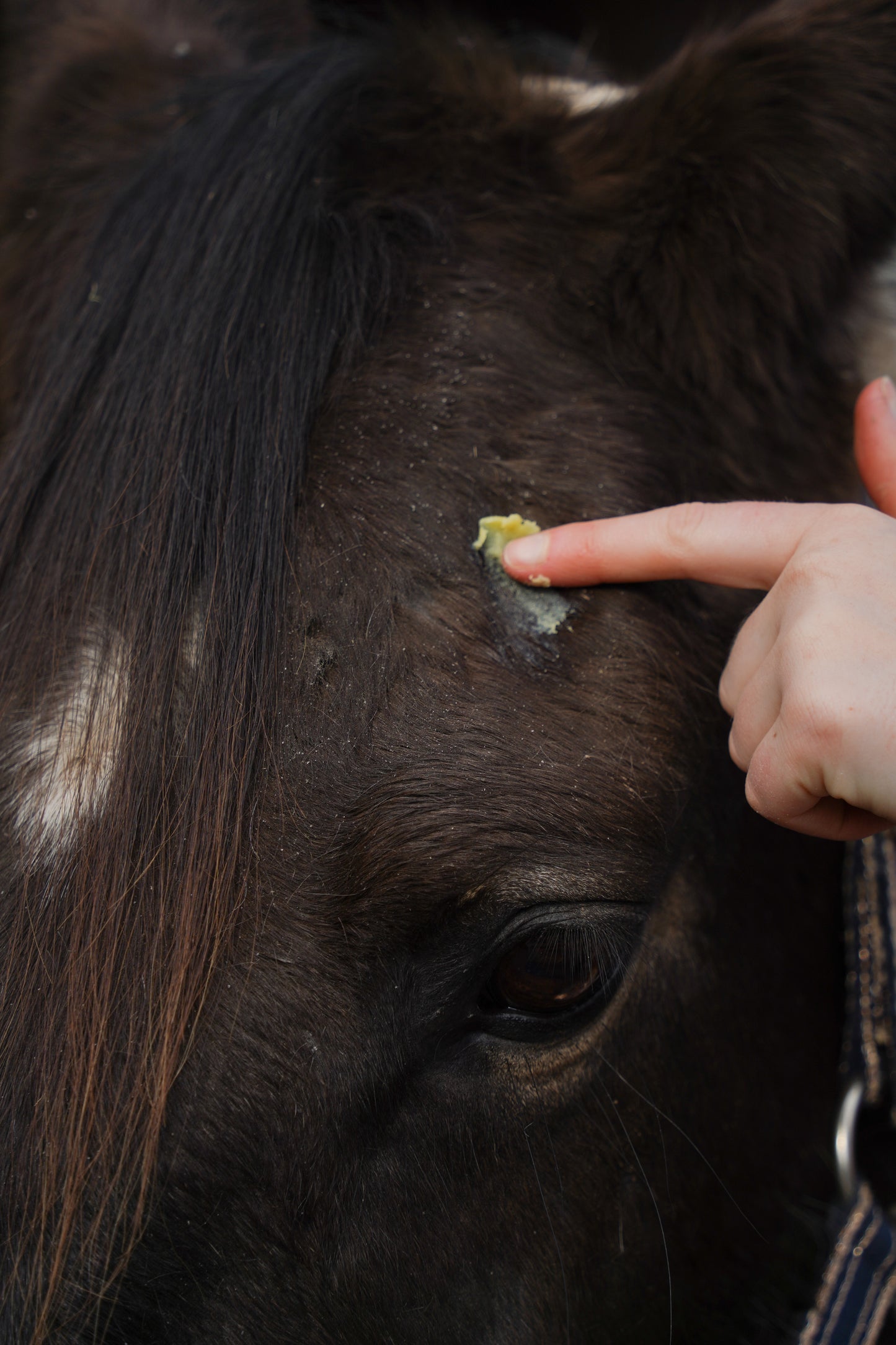 Derm'EOL Balsam - Baume apaisant pour Zones sensibles