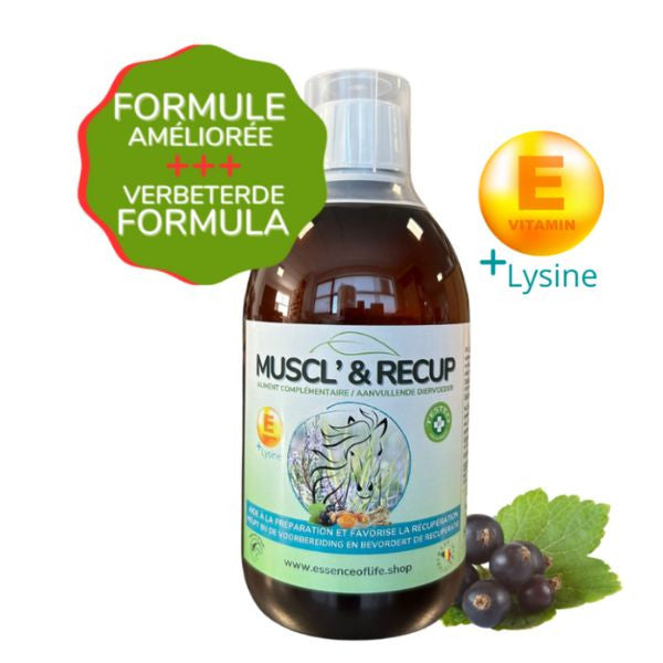 Recup'EOL + E - Récupération optimale