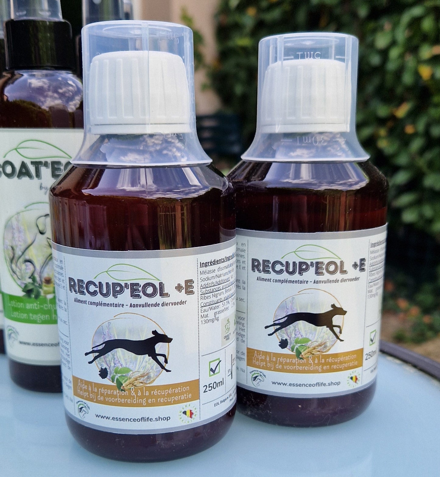 Recup'EOL + E - Récupération optimale