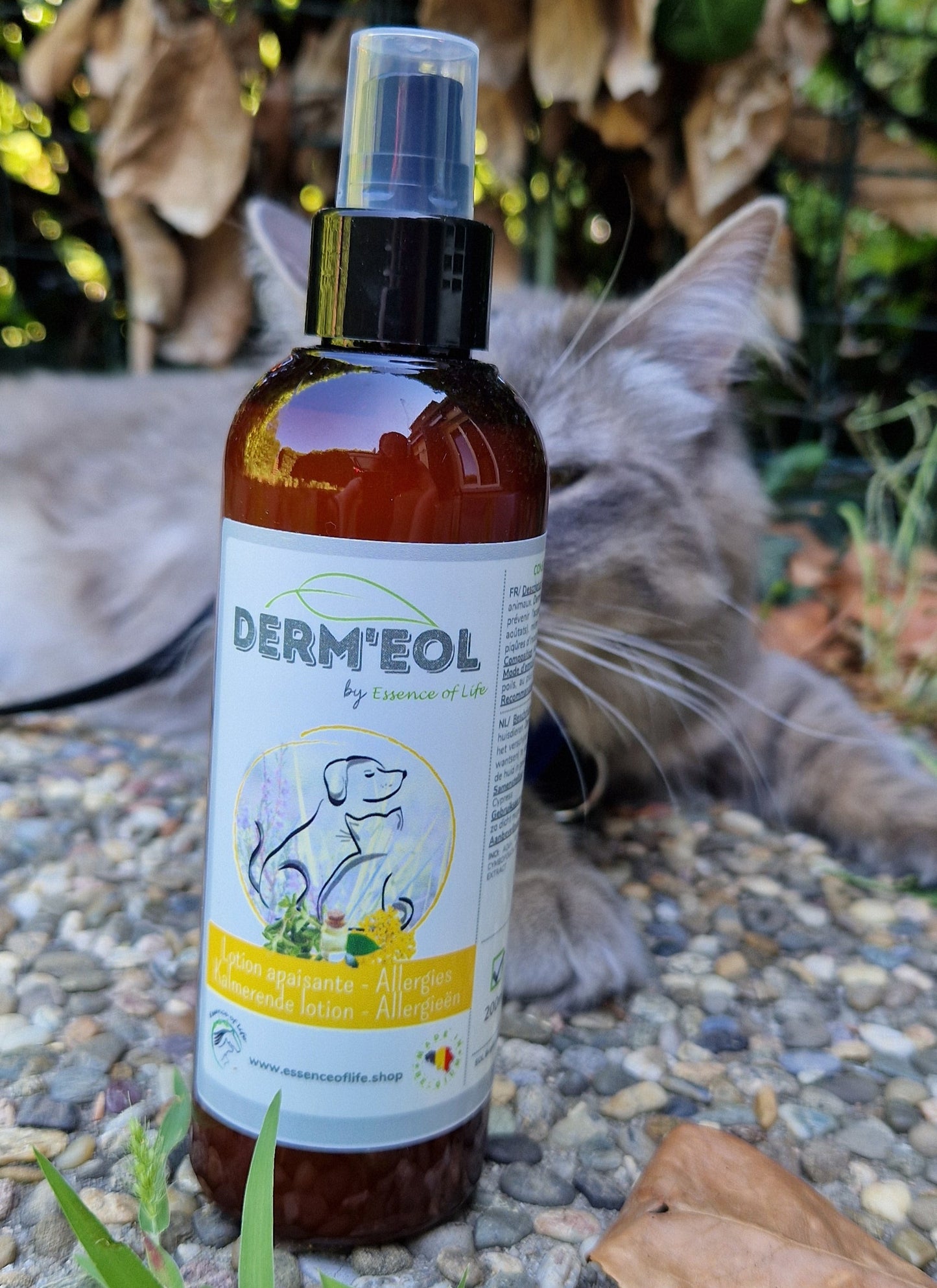 DERM'EOL - Shampooing Sec Apaisant