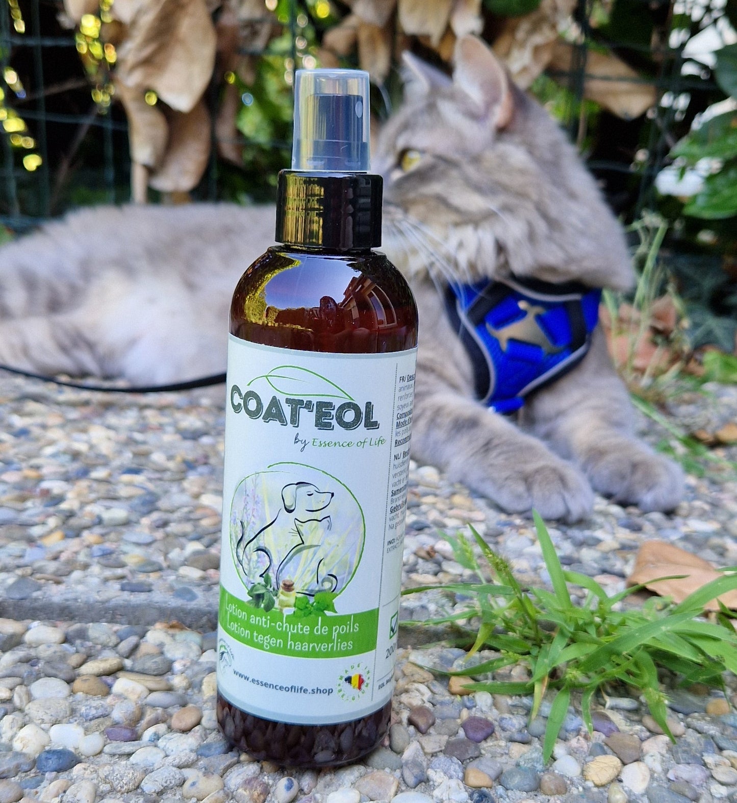 COAT'EOL - Lotion nettoyante anti-chute de poils