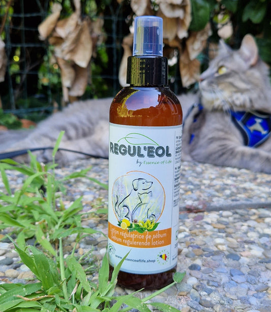 REGUL'EOL - Shampooing Sec Régulateur de Sébum