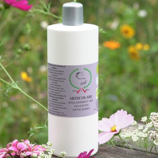 🌿Articolare – Douleurs articulaires