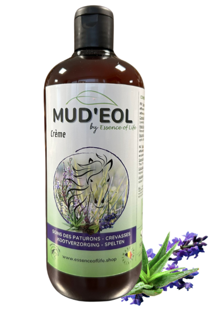 Mud'EOL Crème - Soins pour les paturons et les crevasses