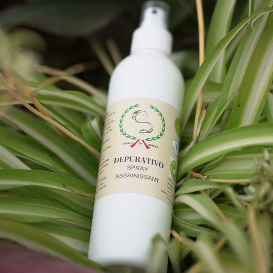 🌿 Depurativo – Spray Assainissant 🐴