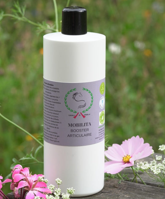 ⚡Mobilita – Booster articulaire
