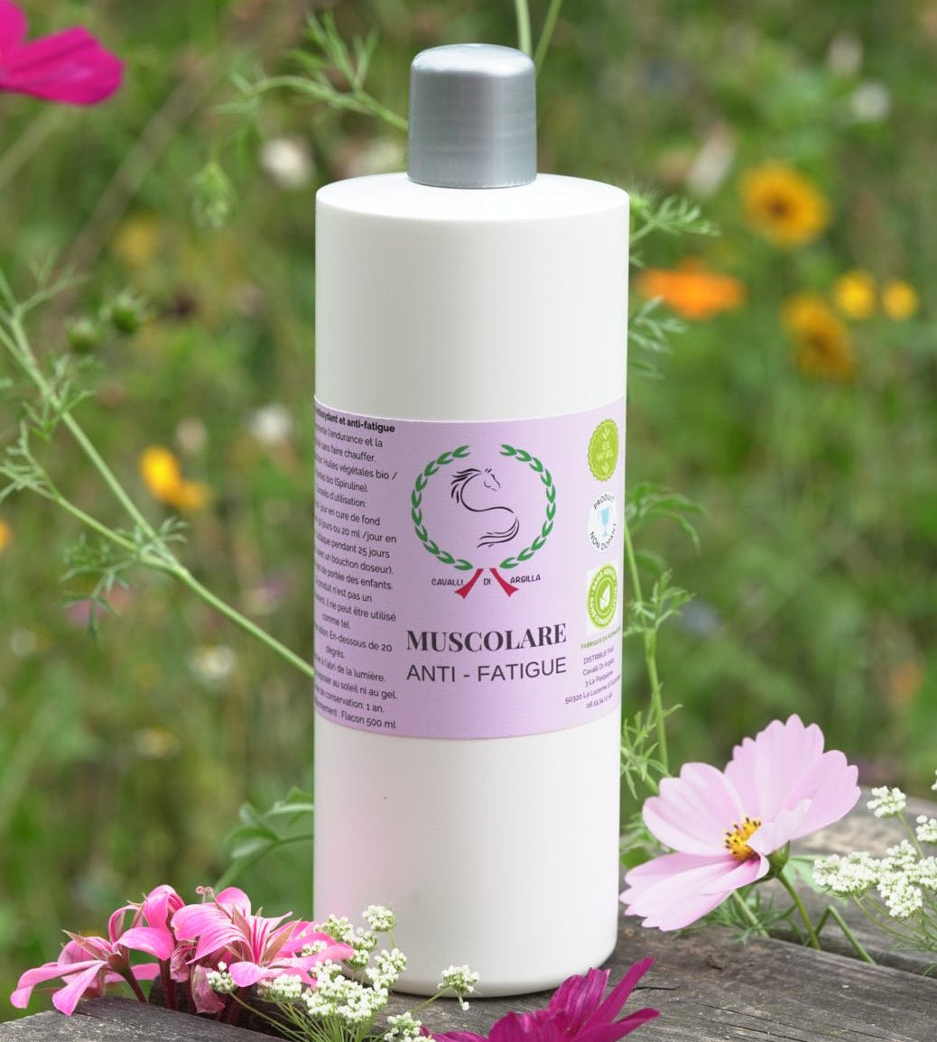 🌿Muscolare - Endurance & vitalité