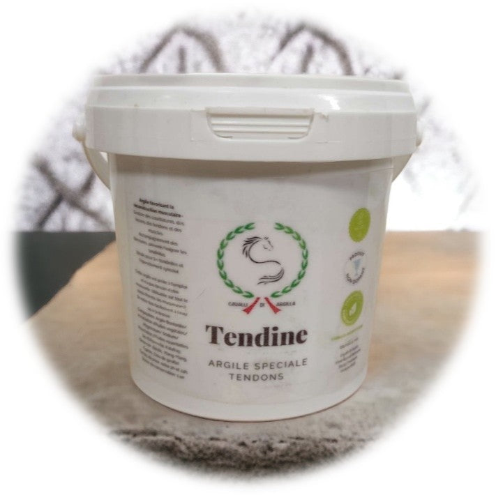 TENDINE - Argile muscles & tendons 💪🦵