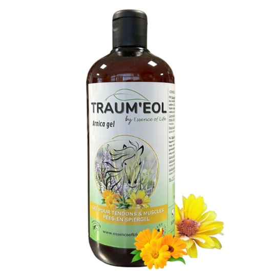 Trauma'EOL - Gel à l'Arnica pour chevaux 🌿