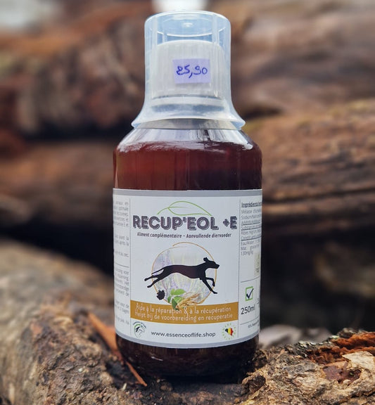 Recup'EOL + E - Récupération optimale