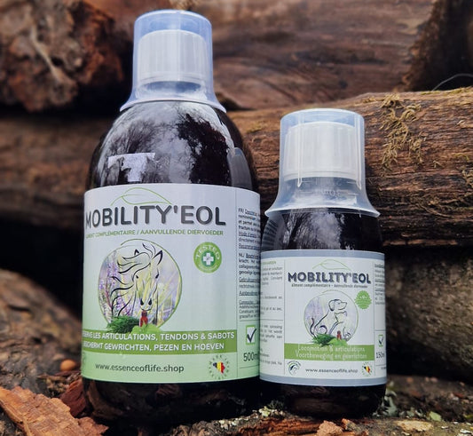 Mobility'EOL - Entretien les articulations 🦴🌿