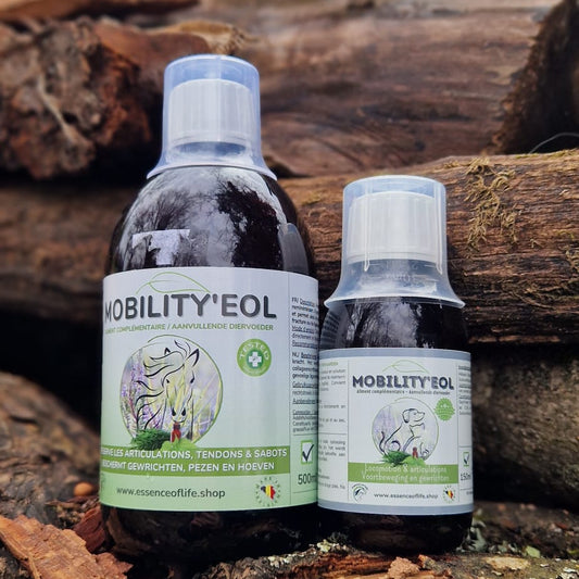 Mobiltity'EOL - Soutien la mobilité