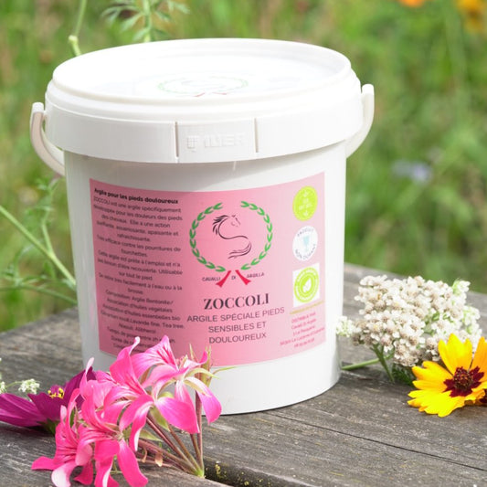 Argile ZOCCOLI - pieds douloureux