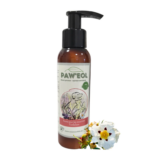 🐾 PAW’EOL – Baume Hydratant pour Coussinets 🌿🐕🐈